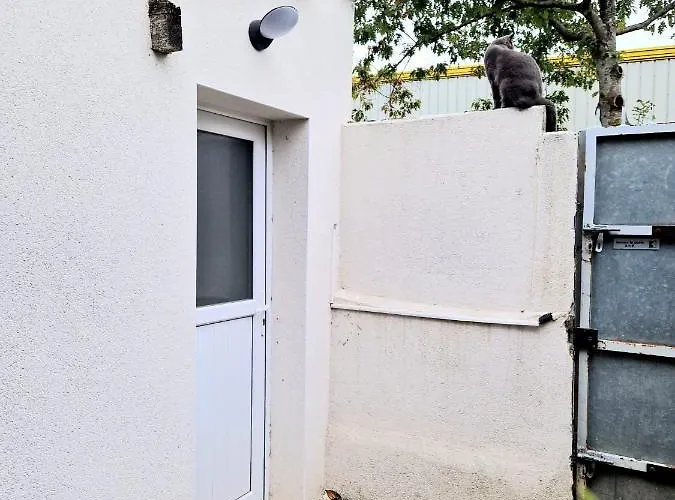Petit Studio Avec Terrasse