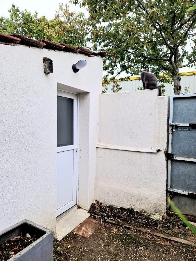Petit Avec Terrasse